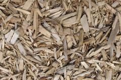 biomass boilers Foscote